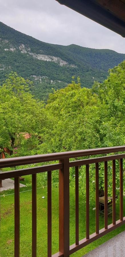 Apartmaji Vitez Apartma 2 *