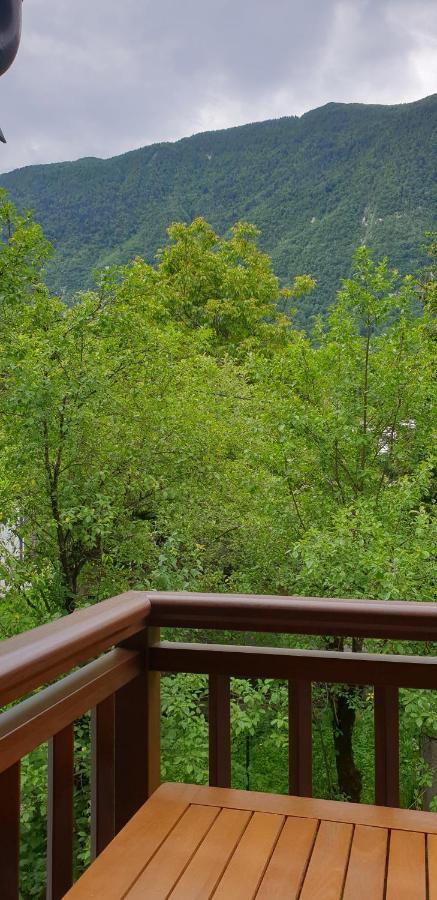 Apartment Apartmaji Vitez Apartma 2 Bovec